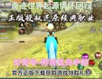 奇迹MU私服：玩法多样超越官服限制，社交乐趣浓厚